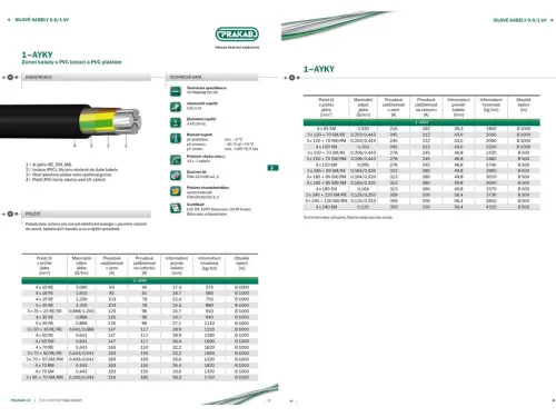 97620_1AYKY    PRAKAB